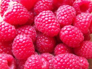 Raspberries.jpg-1024x768