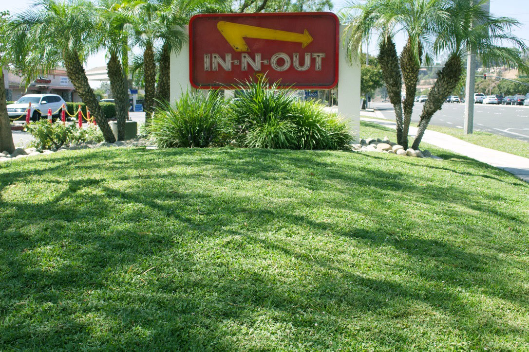inandout
